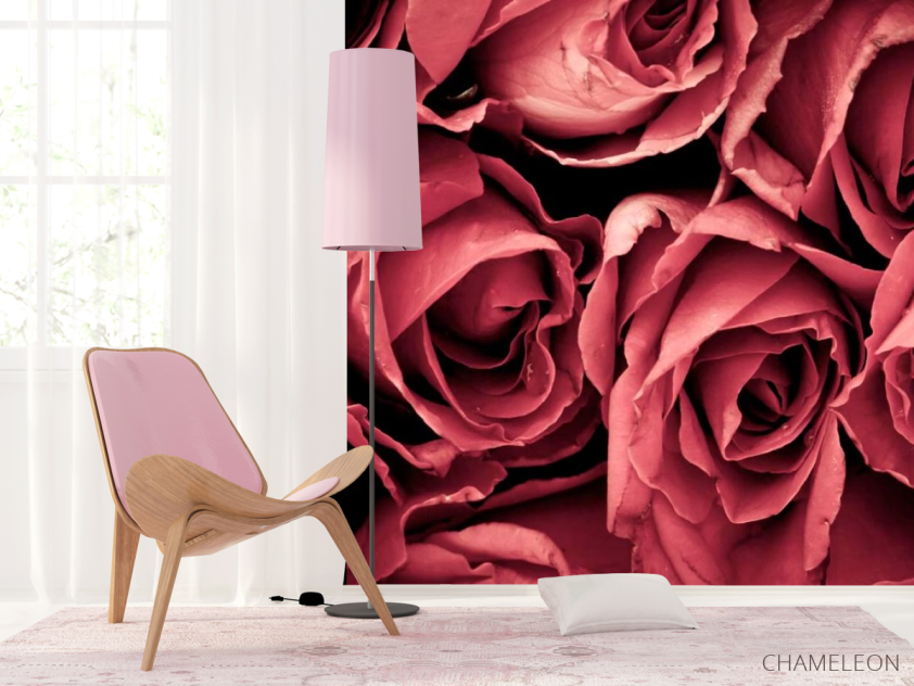 Фотошпалери Червоні троянди - 4