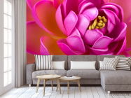 Фотообои Малиновый пион - 3