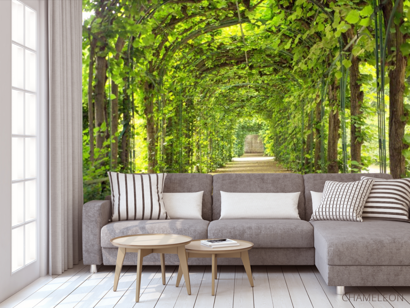 Фотообои зеленая арка - 3