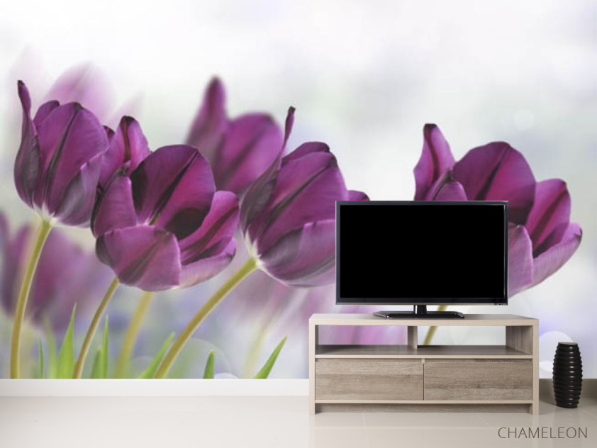 Фотообои тюльпаны - 2