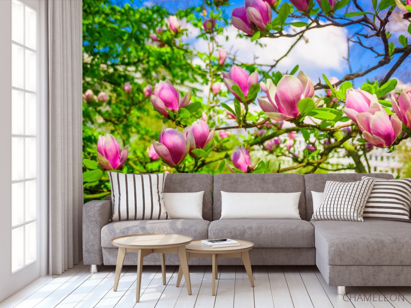 Фотообои магнолии розовые на деревьях - 3