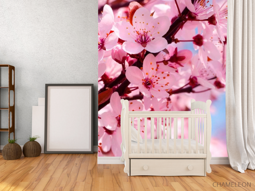 Фотообои Цветущее розовым дерево - 2