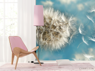 Фотошпалери кульбаби - 4