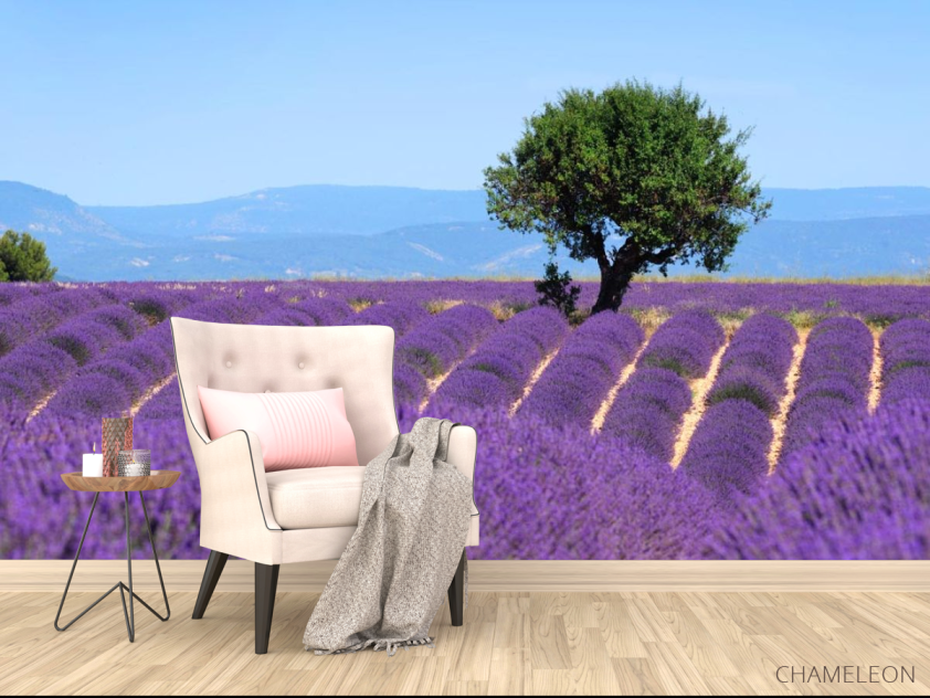 Фотообои сиреневое поле - 4