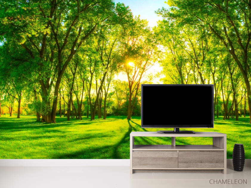 Фотообои Зеленые деревья - 2