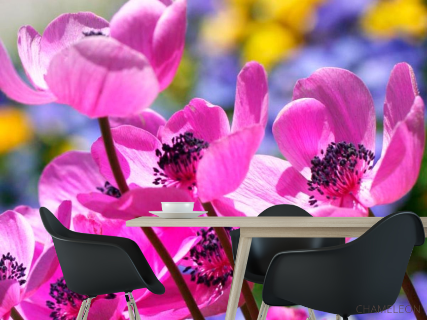 Фотошпалери Букет рожевих тонколистников - 1