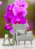 Фотообои ветка орхидеи - 3