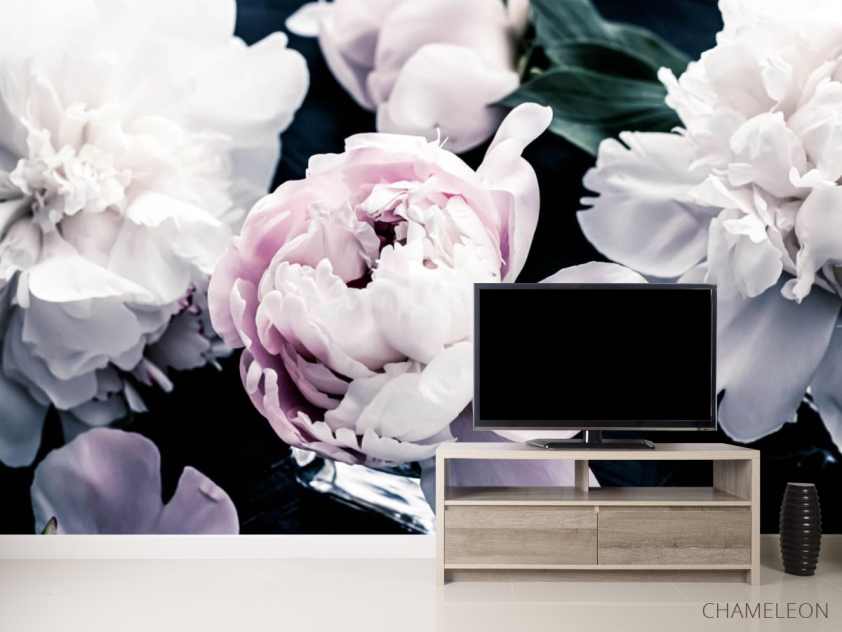 Фотообои Пионы на тёмном - 2