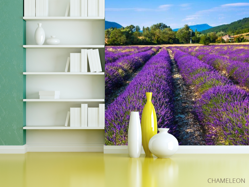 Фотошпалери поле квітів - 3