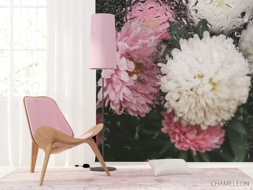 Фотошпалери Хризантеми з краплями дощу - 4