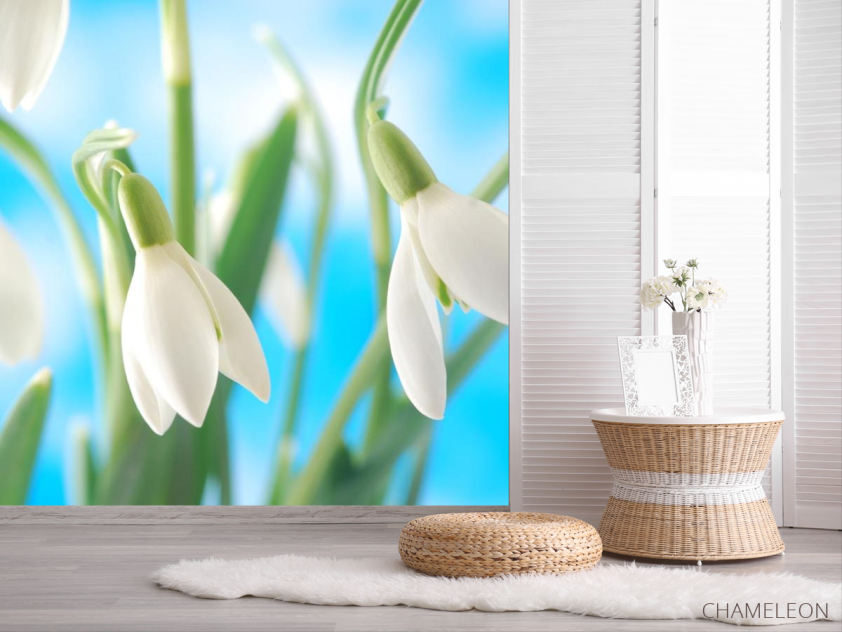 Фотошпалери проліски - 2