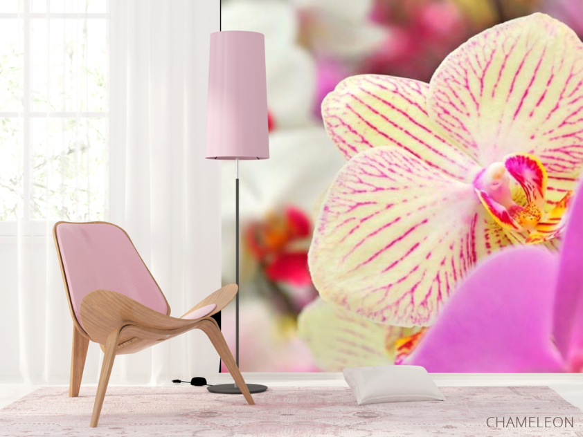 Фотошпалери Орхідеї в цяточку - 4