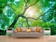 Фотообои Дерево, солнце - 1