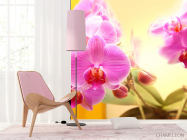 Фотошпалери рожеві орхідеї на жовтому фоні - 4
