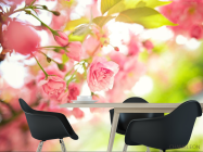 Фотошпалери рожеві квітки - 1