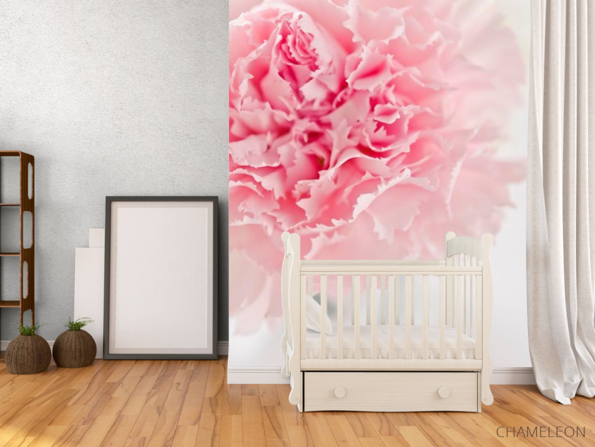 Фотообои Пион бледно-розовый - 2