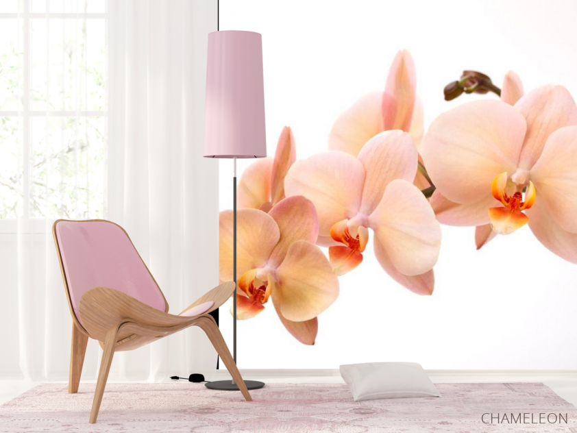 Фотошпалери Гілочка орхідей - 4
