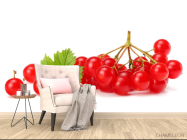 Фотообои калина - 4