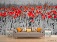 Фотообои Красные маки на чб фоне - 1
