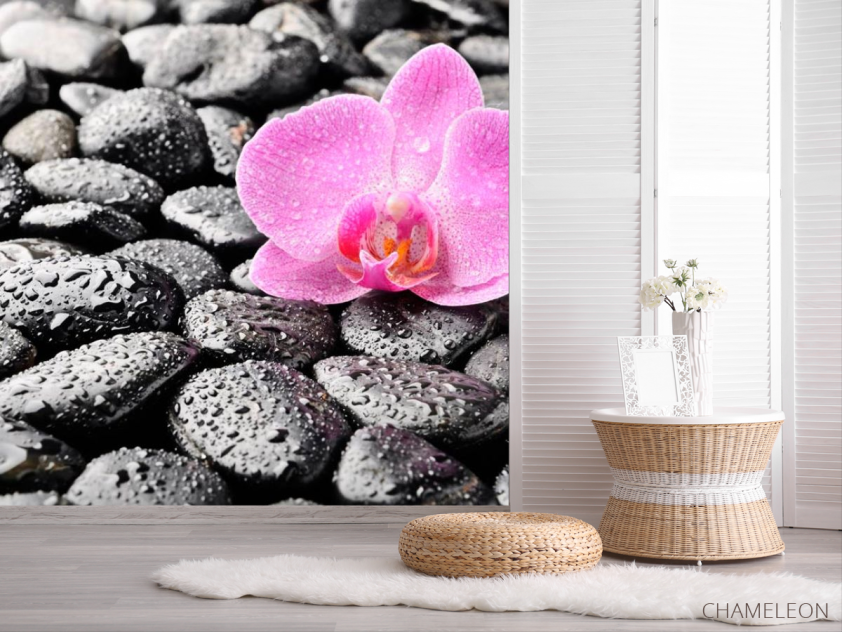 Фотошпалери Орхідея, роса, камені - 2