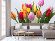 Фотообои тюльпаны разных цветов - 3