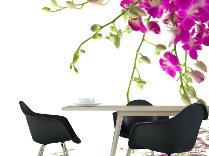 Фотошпалери Малинові квіточки - 1