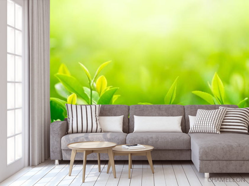 Фотообои зеленые росточки - 3