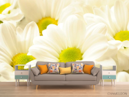 Фотообои Ромашки большие - 1