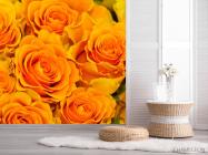 Фотошпалери Троянди жовтого відтінку - 2