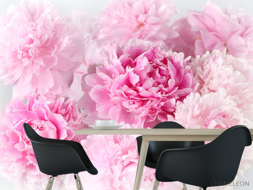 Фотошпалери Рожеві півонії - 1