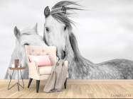 Фотообои лошадки - 4