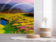 Фотошпалери Кольорове поле, веселка - 2