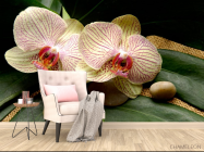 Фотообои Полосчатые орхидеи - 4
