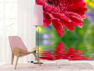 Фотошпалери червоний квітка над водою - 4