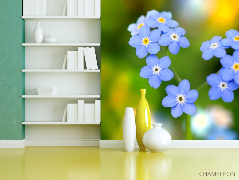 Фотошпалери Волошки - 3