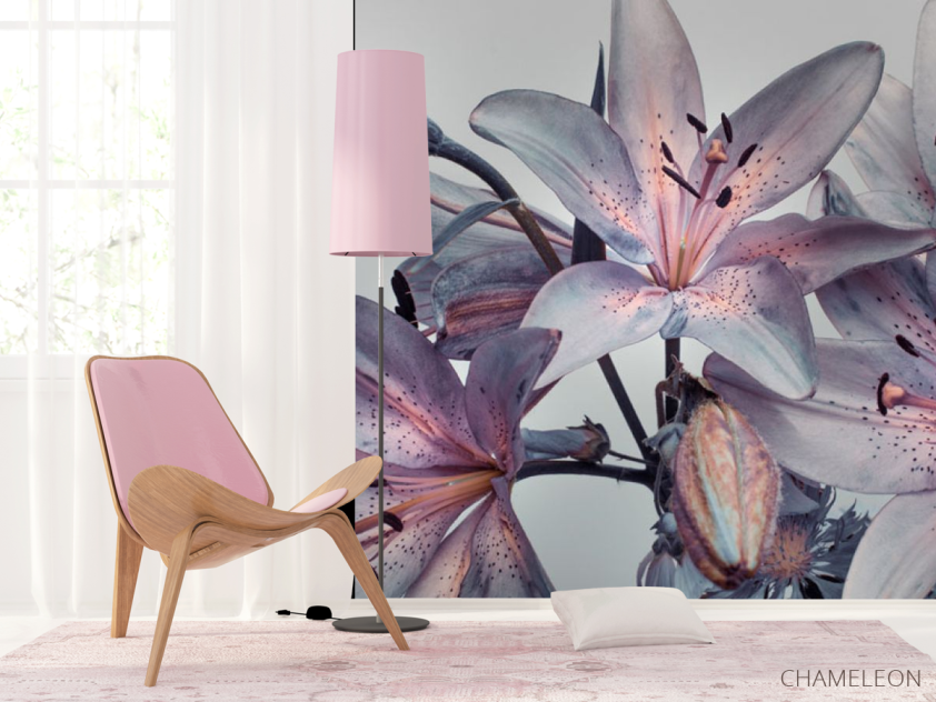 Фотошпалери Фіолетові лілії - 4