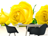 Фотошпалери Троянди жовті - 1