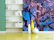 Фотошпалери Квітуча сакура - 3