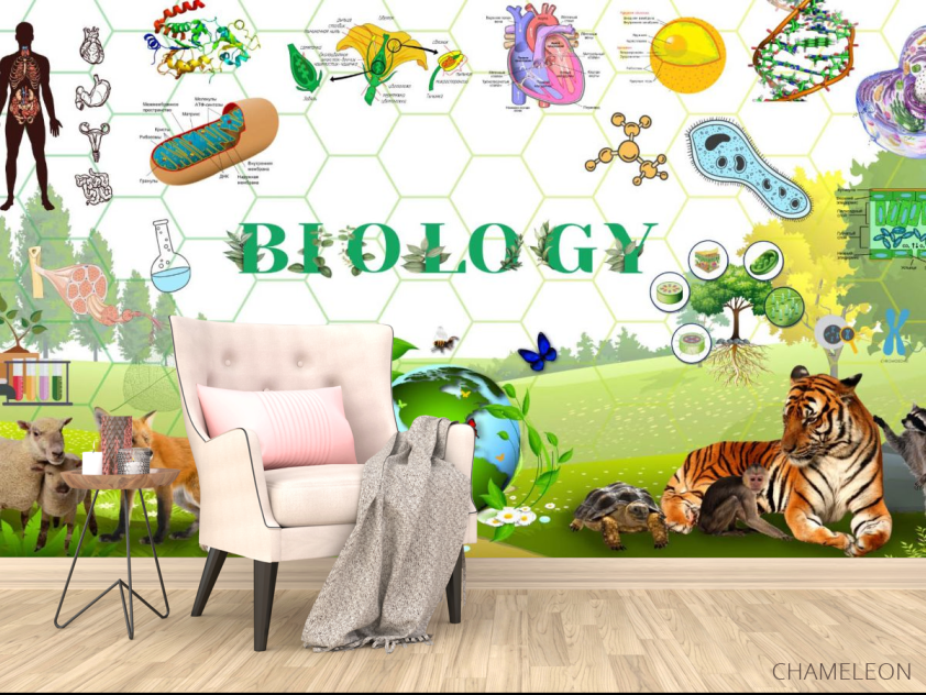 Фотообои Для кабинета биологии - 4