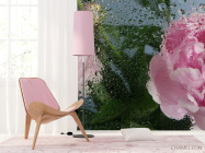 Фотошпалери Рожеві півонії з краплями дощу - 4