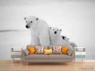 Фотообои Медведи полярные - 1