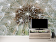 Фотообои семена на одуванчике - 2