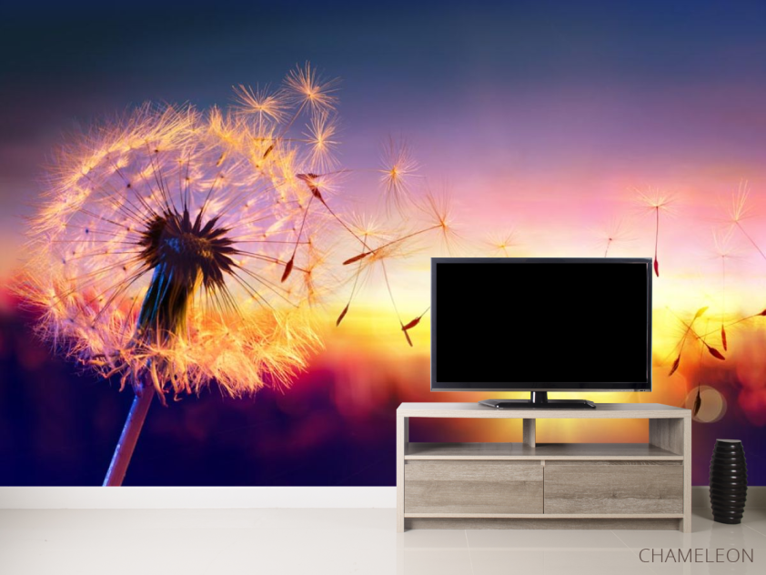 Фотообои одуванчик закат - 2