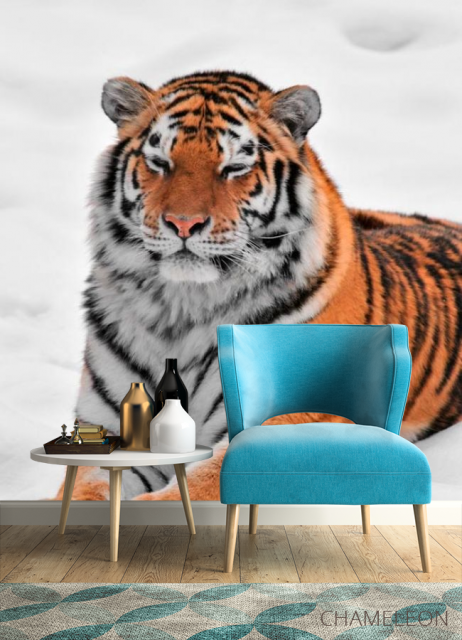 Фотообои Тигр в снегу - 4