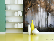 Фотошпалери туманні дерева в лісі - 3