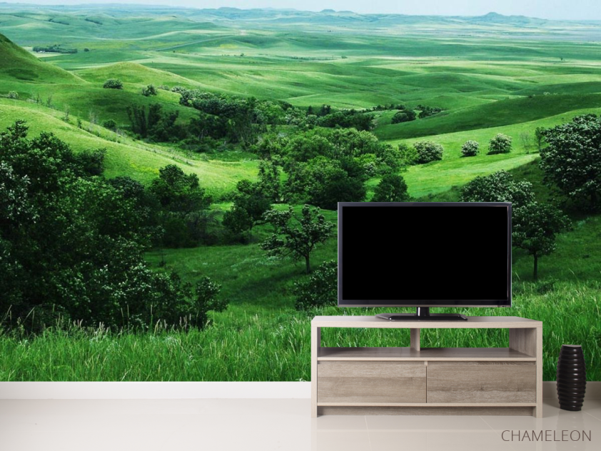 Фотообои Бесконечный луг - 2