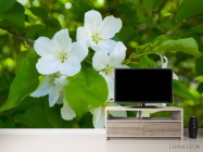 Фотообои Чубушник - 2