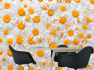 Фотошпалери Ромашки яскраві - 1