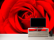 Фотообои Красная роза - 2