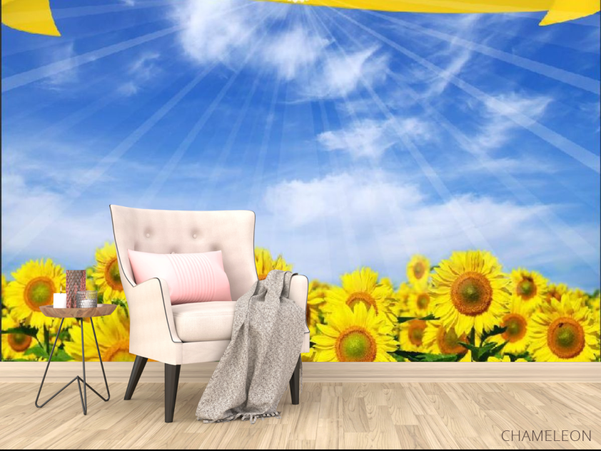 Фотообои в школу - 4